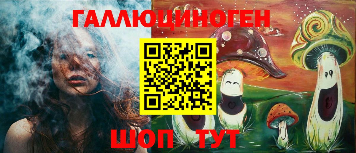 Псилоцибиновые грибы Cubensis Великий Устюг